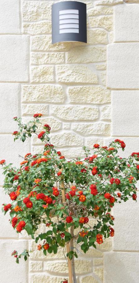 Saint-Maximin  L'Atelier Bed & Breakfast エクステリア 写真