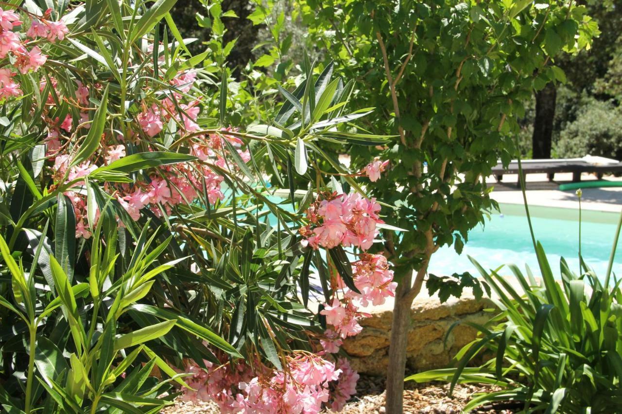 Saint-Maximin  L'Atelier Bed & Breakfast エクステリア 写真
