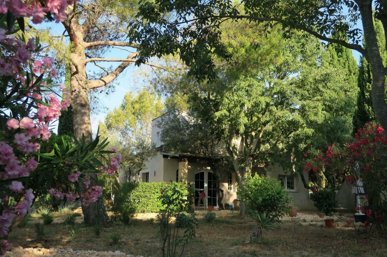 Saint-Maximin  L'Atelier Bed & Breakfast エクステリア 写真