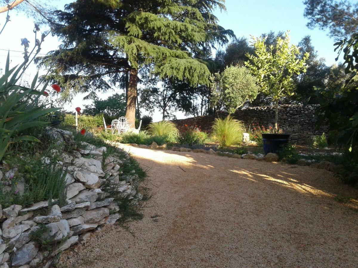 Saint-Maximin  L'Atelier Bed & Breakfast エクステリア 写真