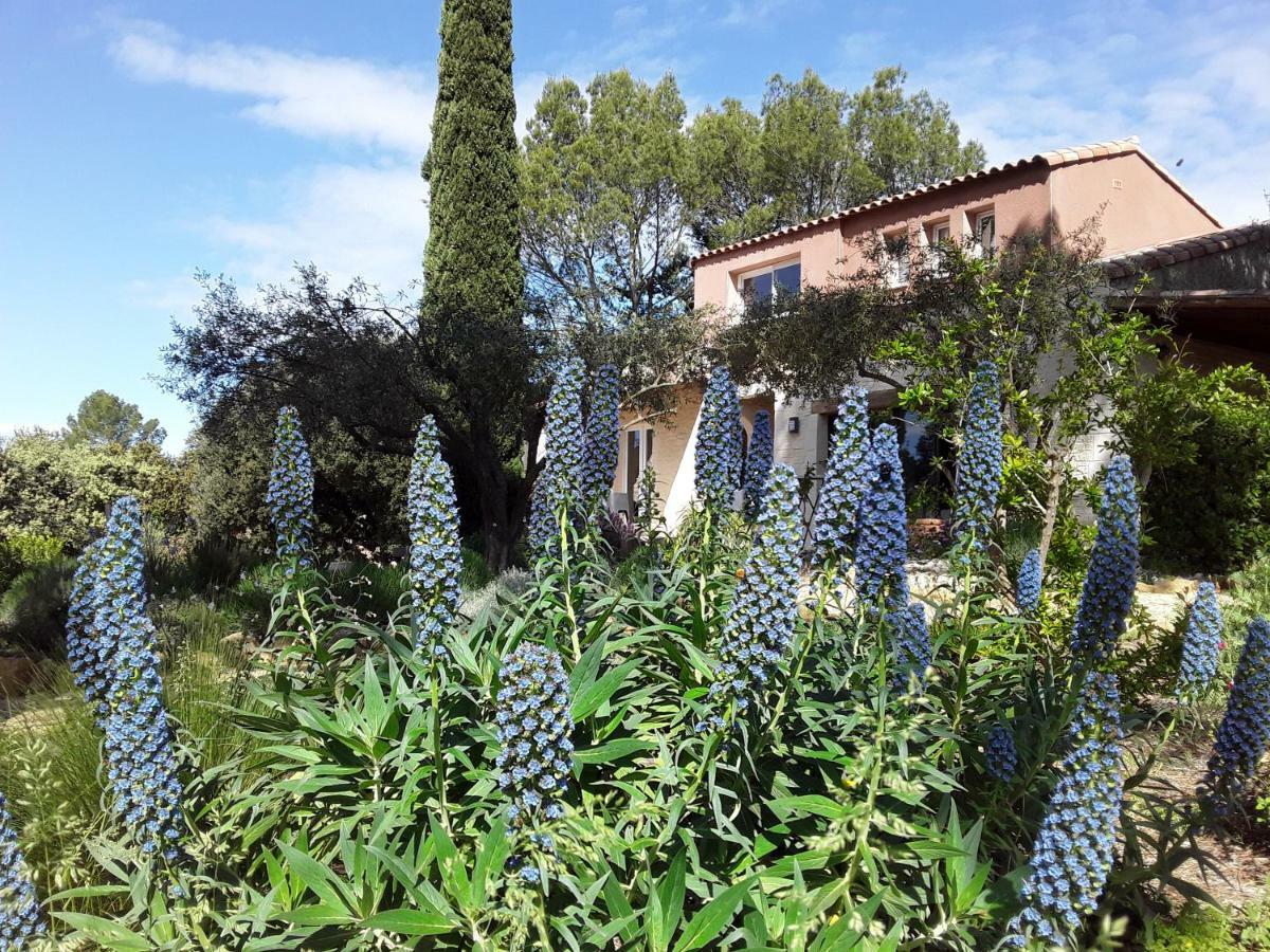 Saint-Maximin  L'Atelier Bed & Breakfast エクステリア 写真